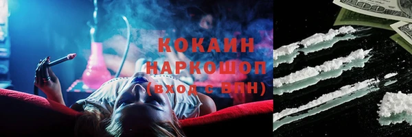 амф Алексин