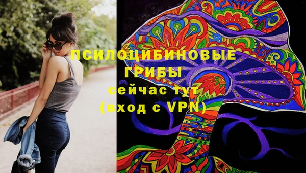 соль курить ск Алексеевка