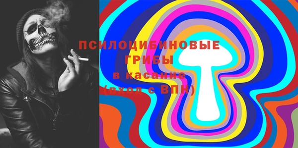 гашик Алзамай